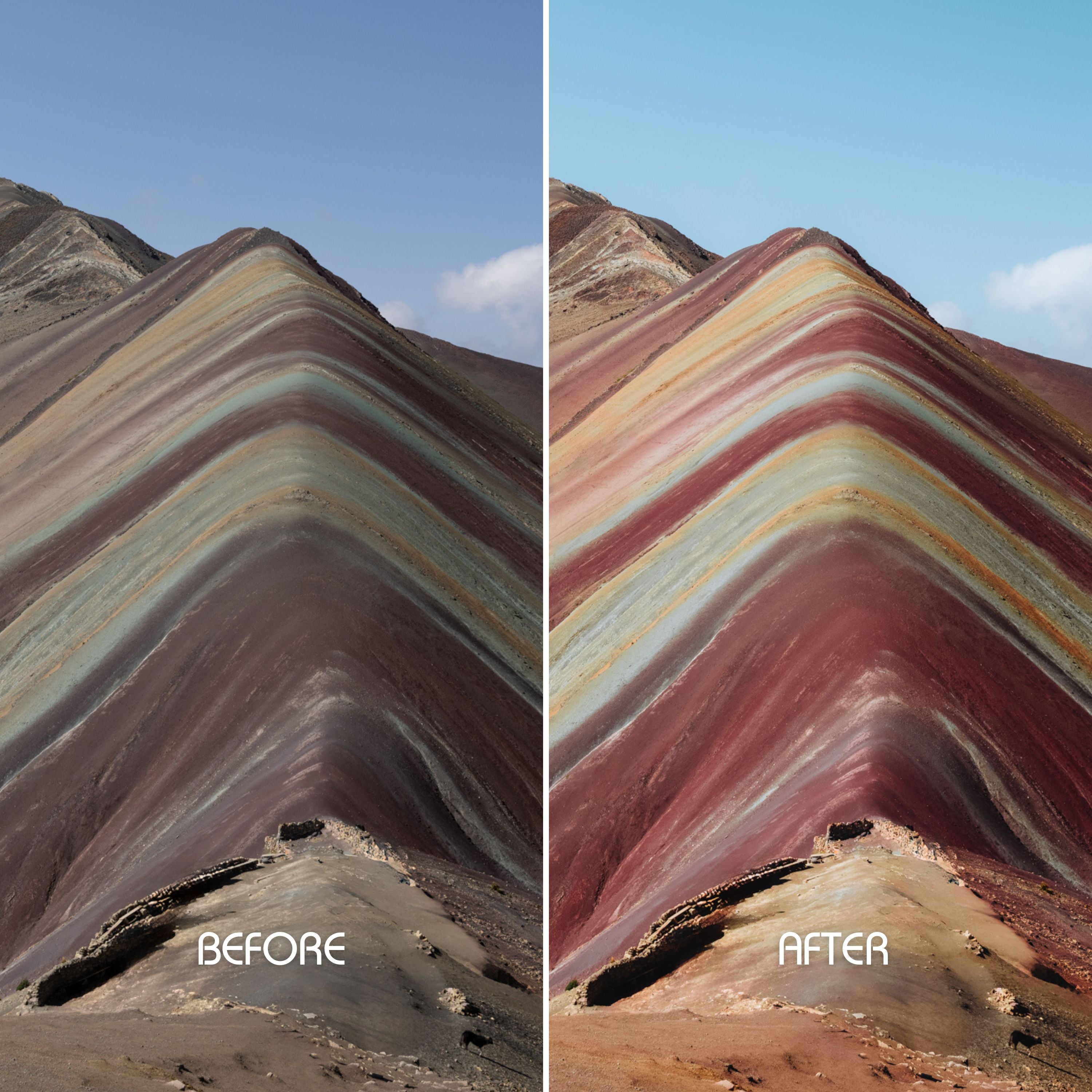 Earthy Tones Preset Collection