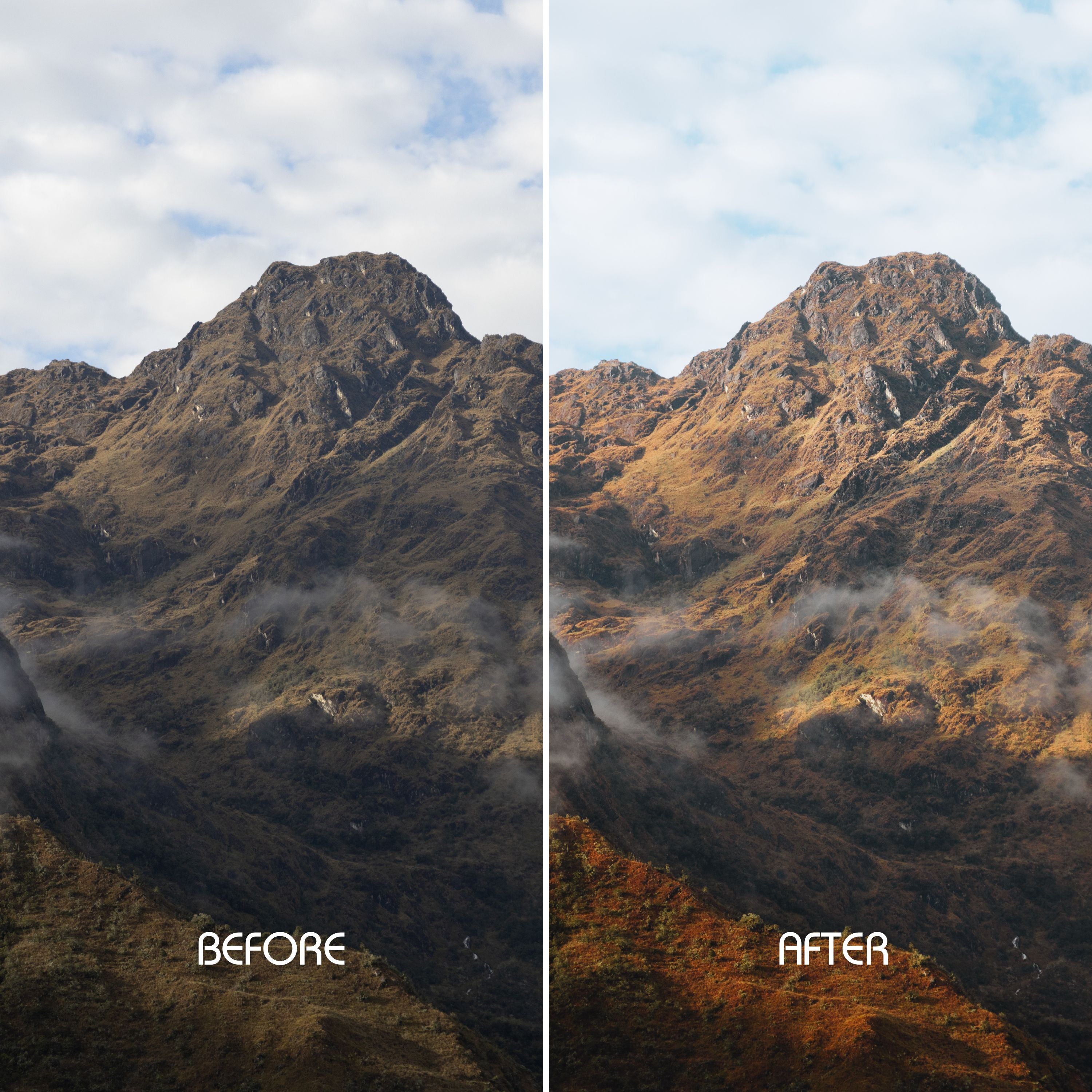 Earthy Tones Preset Collection
