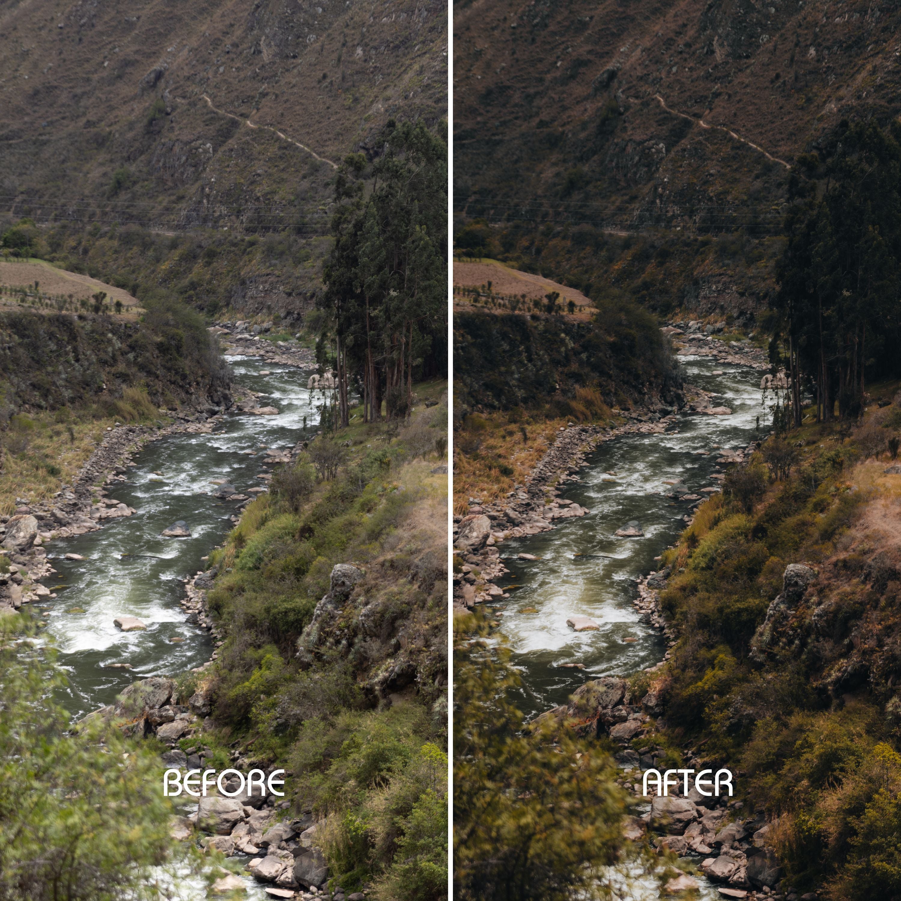 Earthy Tones Preset Collection