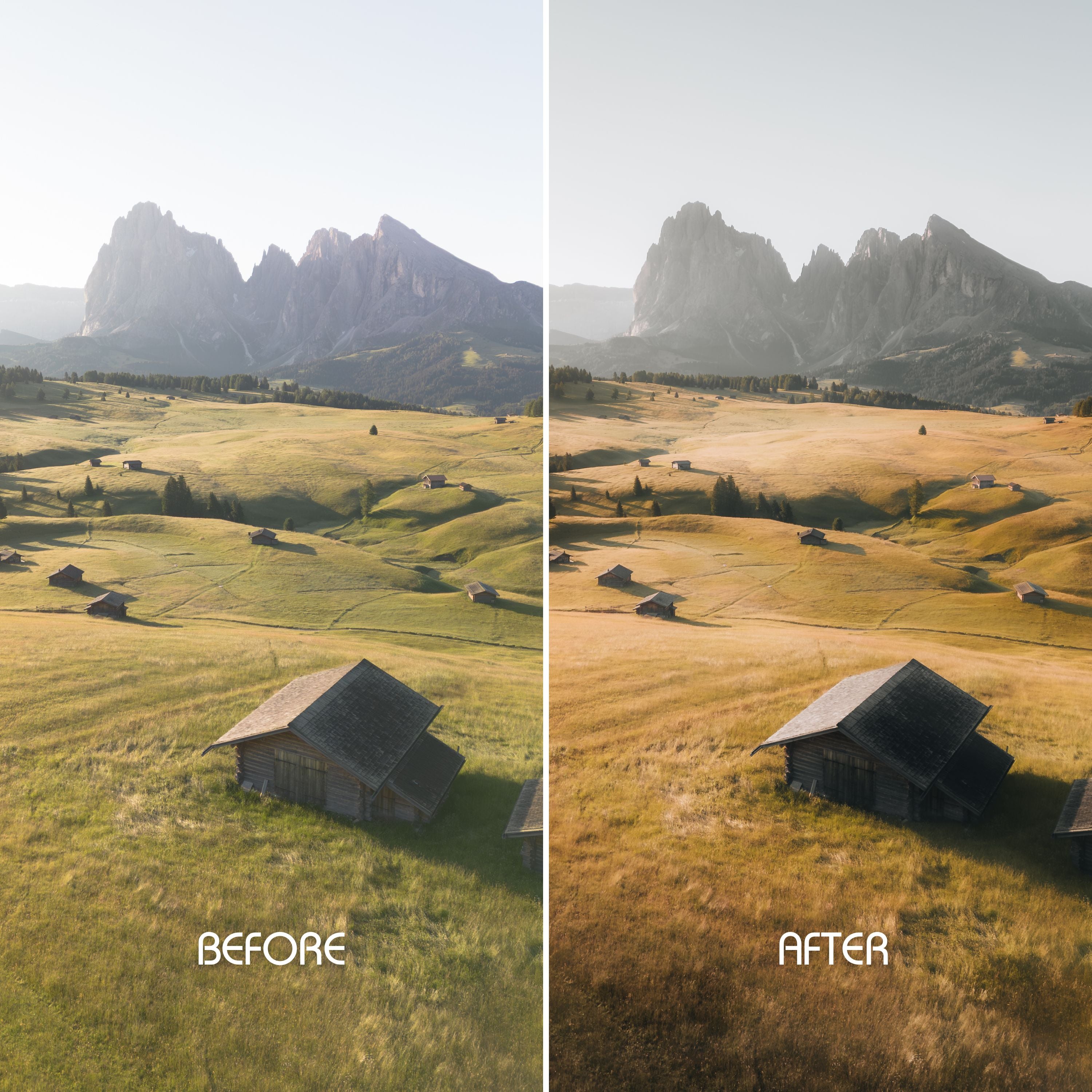 Earthy Tones Preset Collection