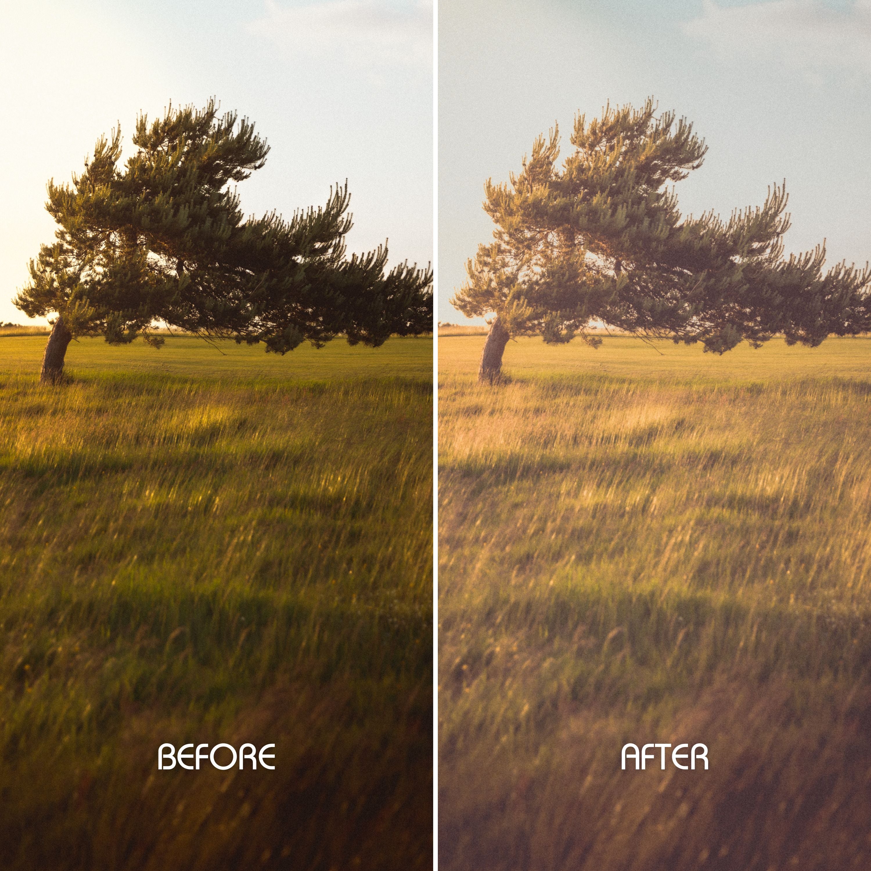 Vintage Vibes Preset Collection