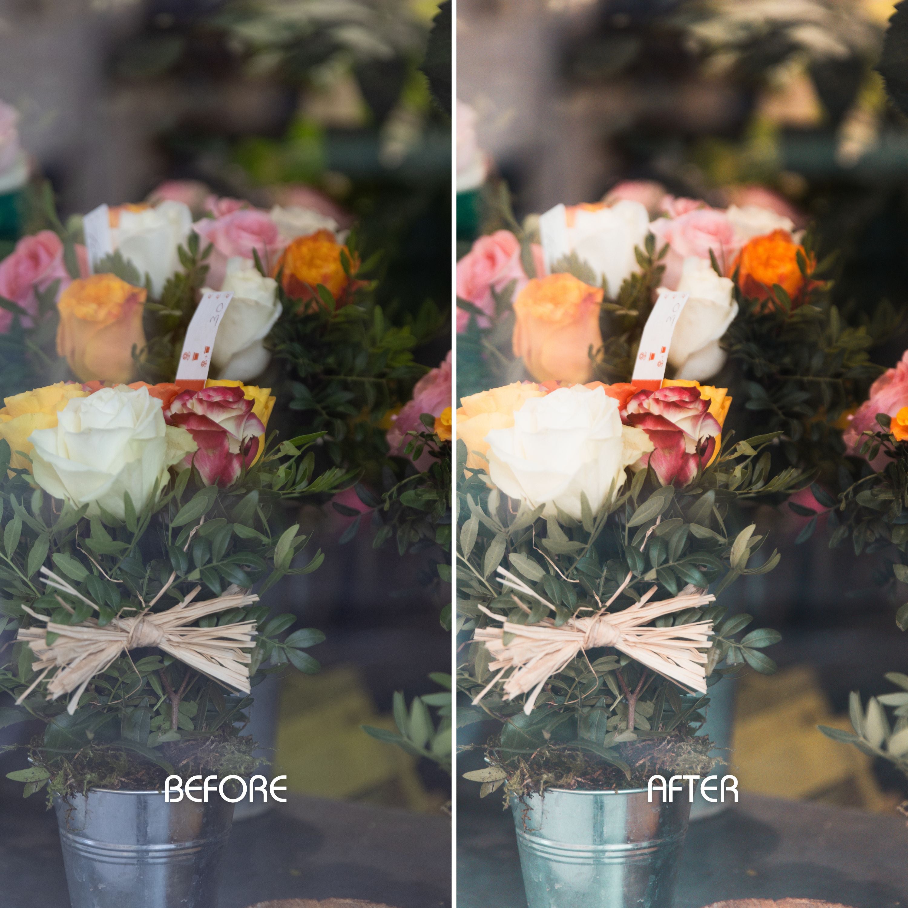 Soft & Dreamy Preset Collection