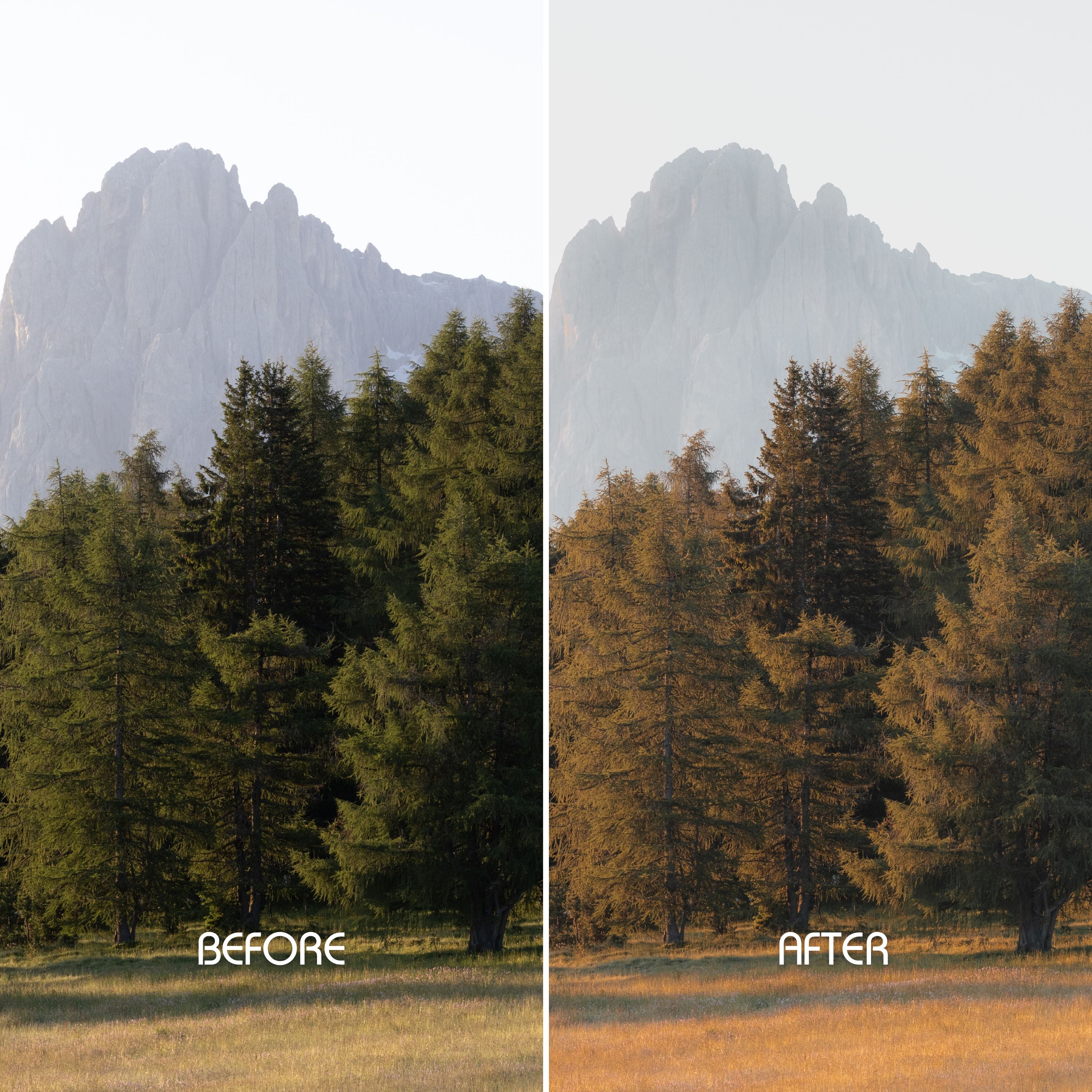 Soft & Dreamy Preset Collection