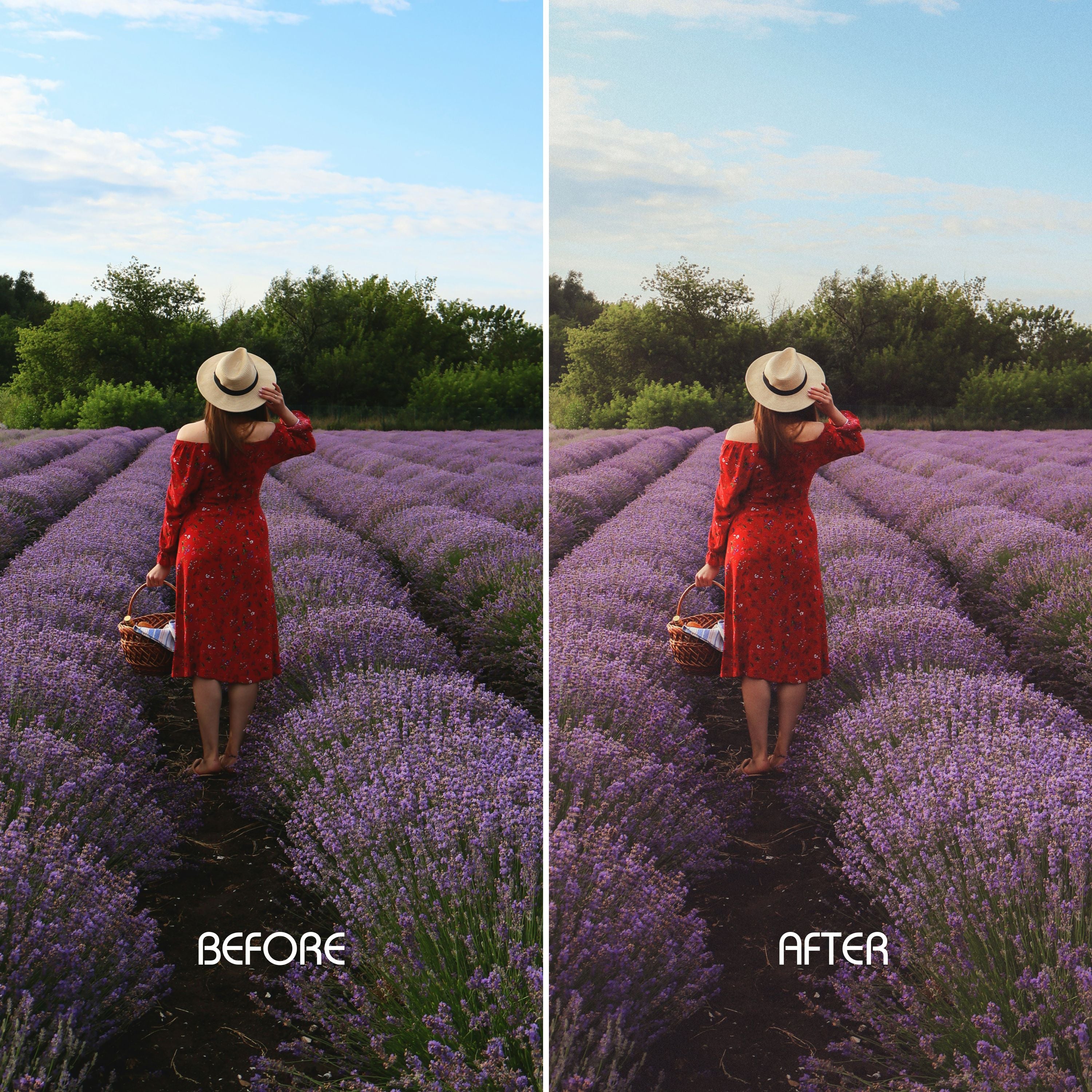 Soft & Dreamy Preset Collection