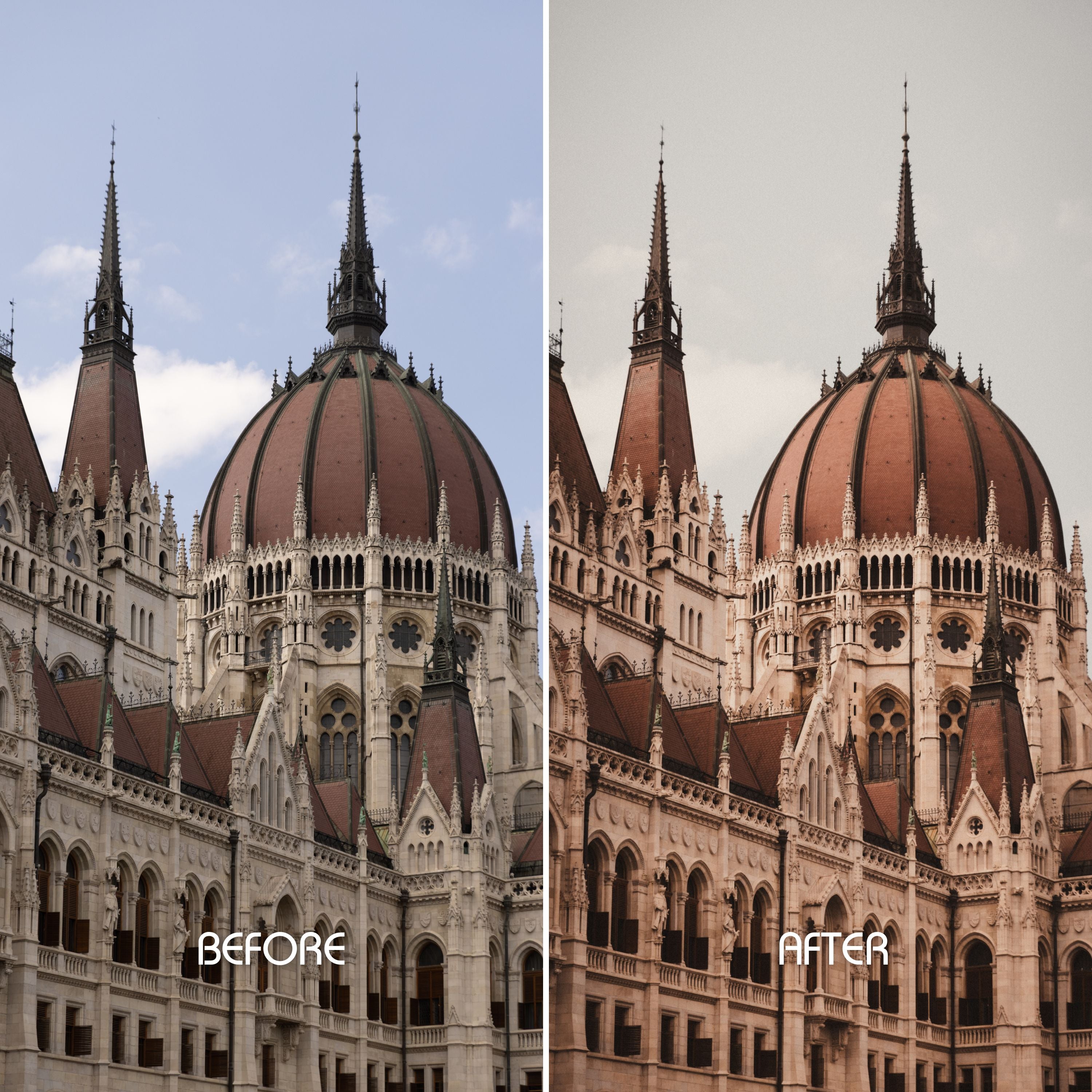 Vintage Vibes Preset Collection
