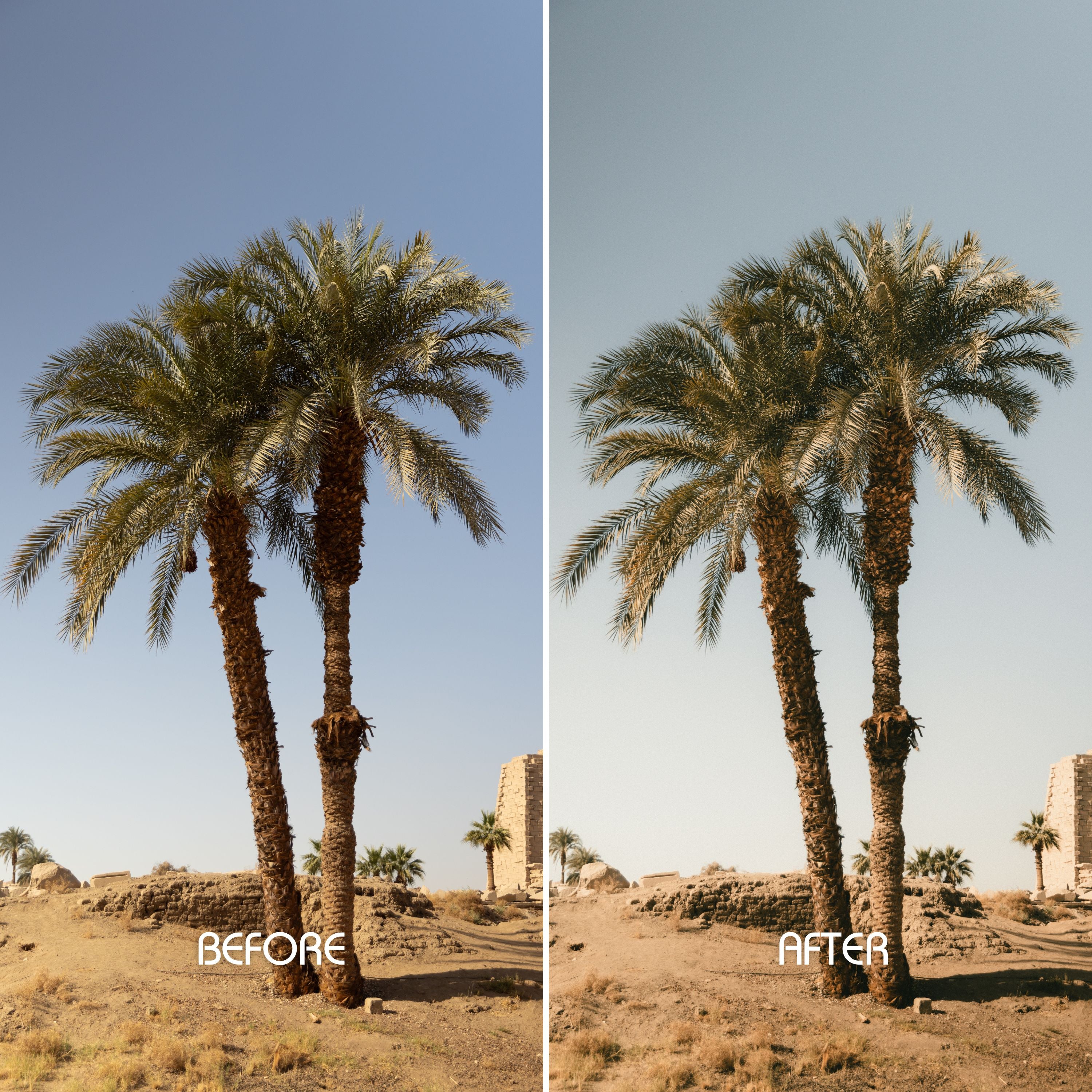 Vintage Vibes Preset Collection