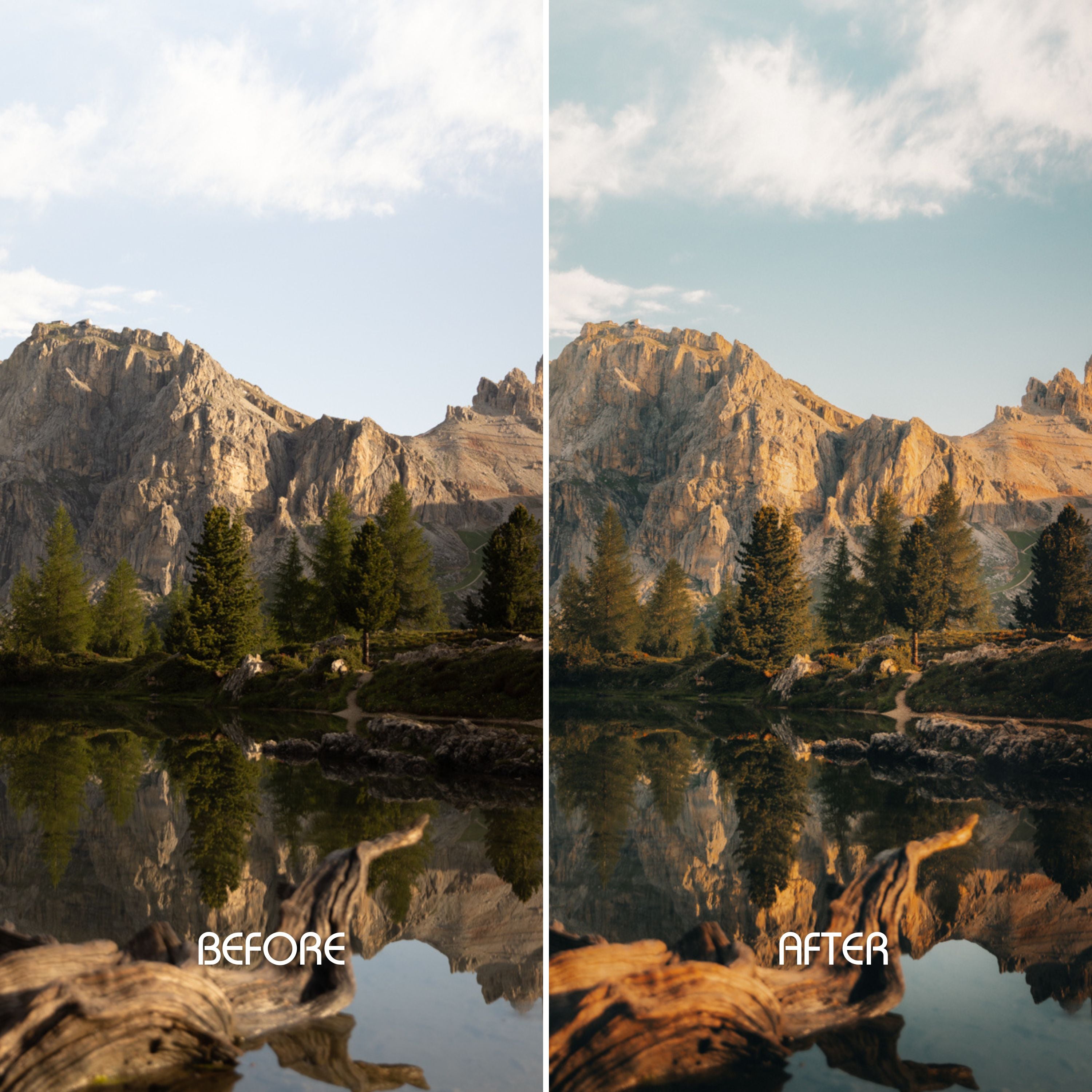 Wild Greens Preset Collection