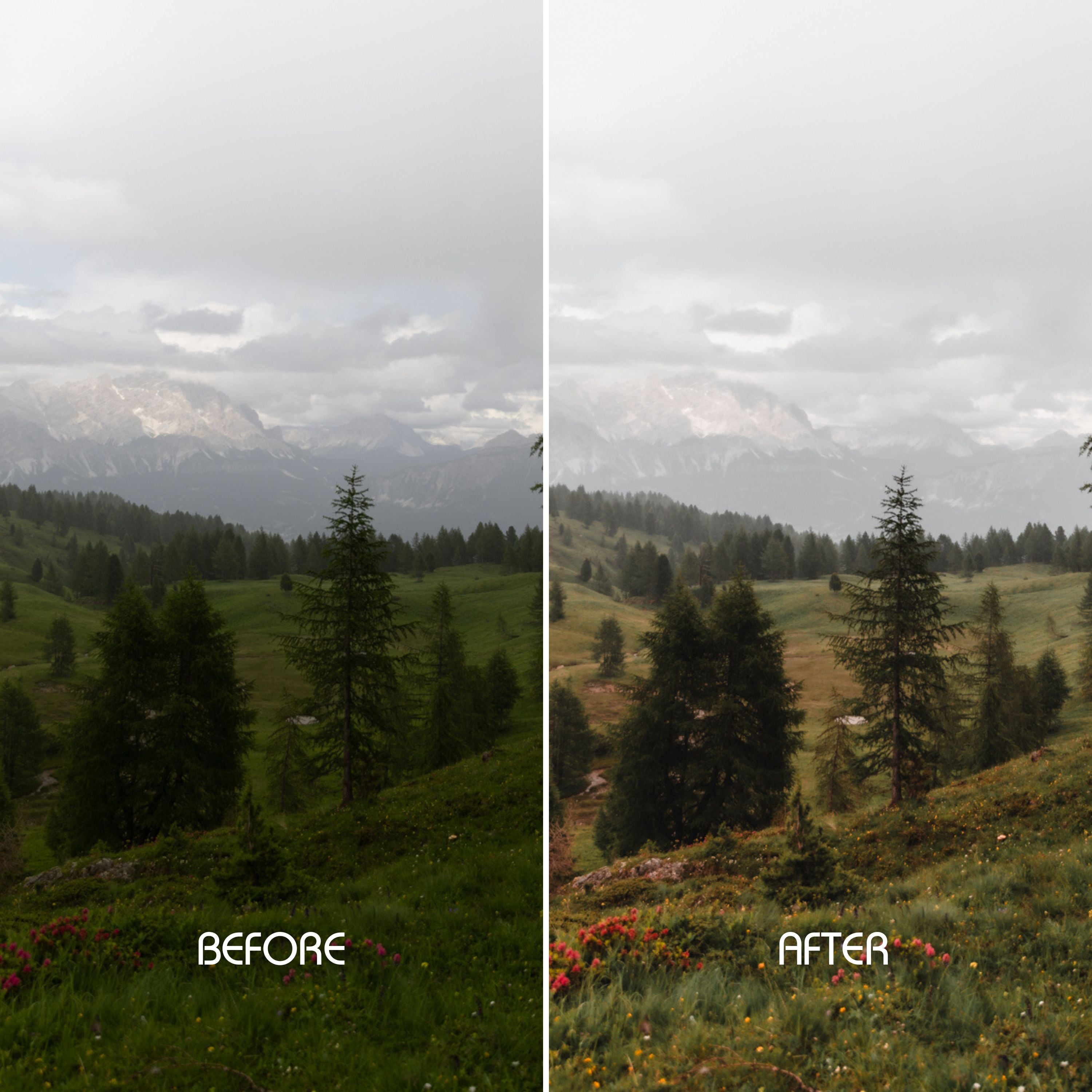 Wild Greens Preset Collection