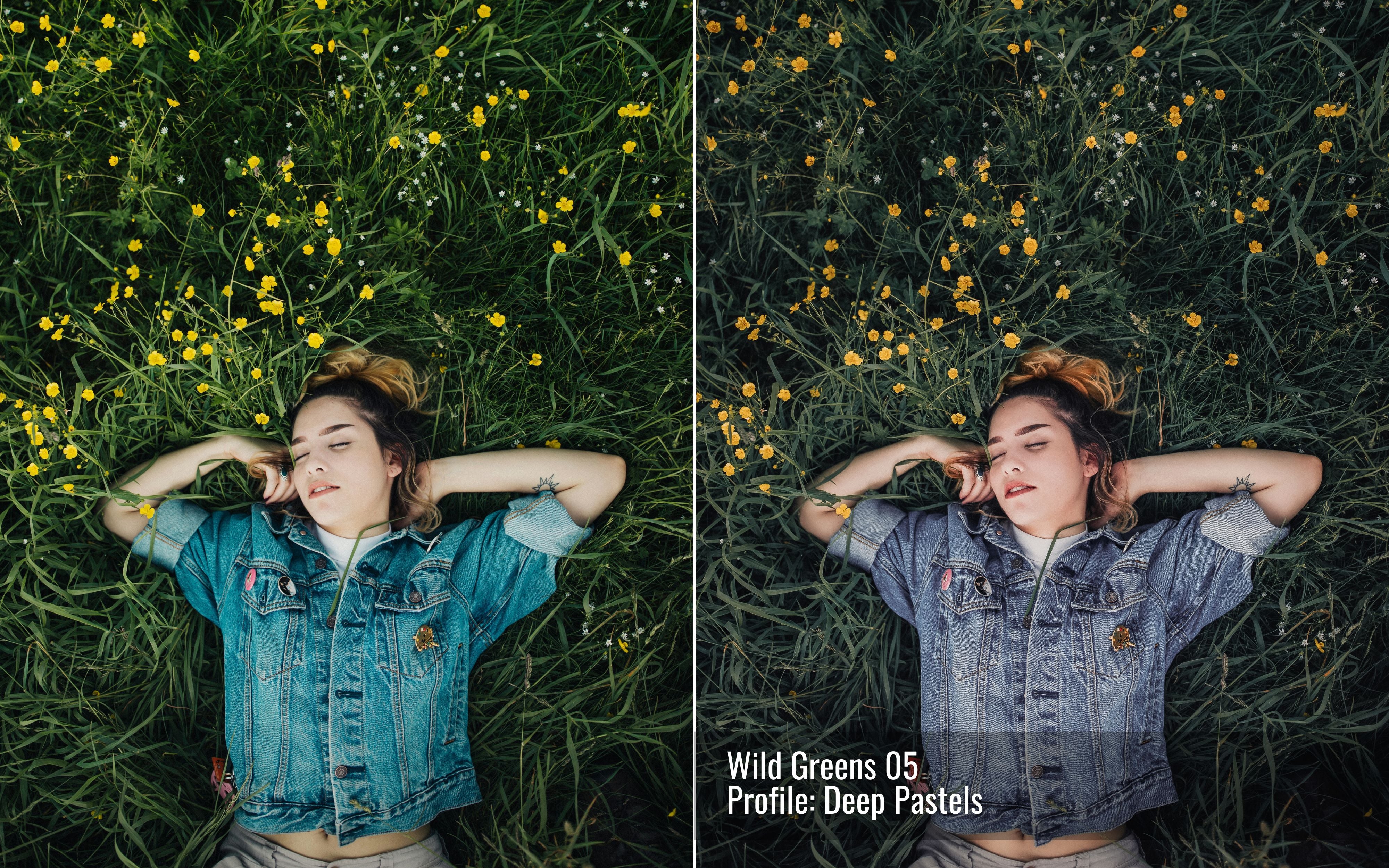 Wild Greens Photo Editing Toolkit for Lightroom
