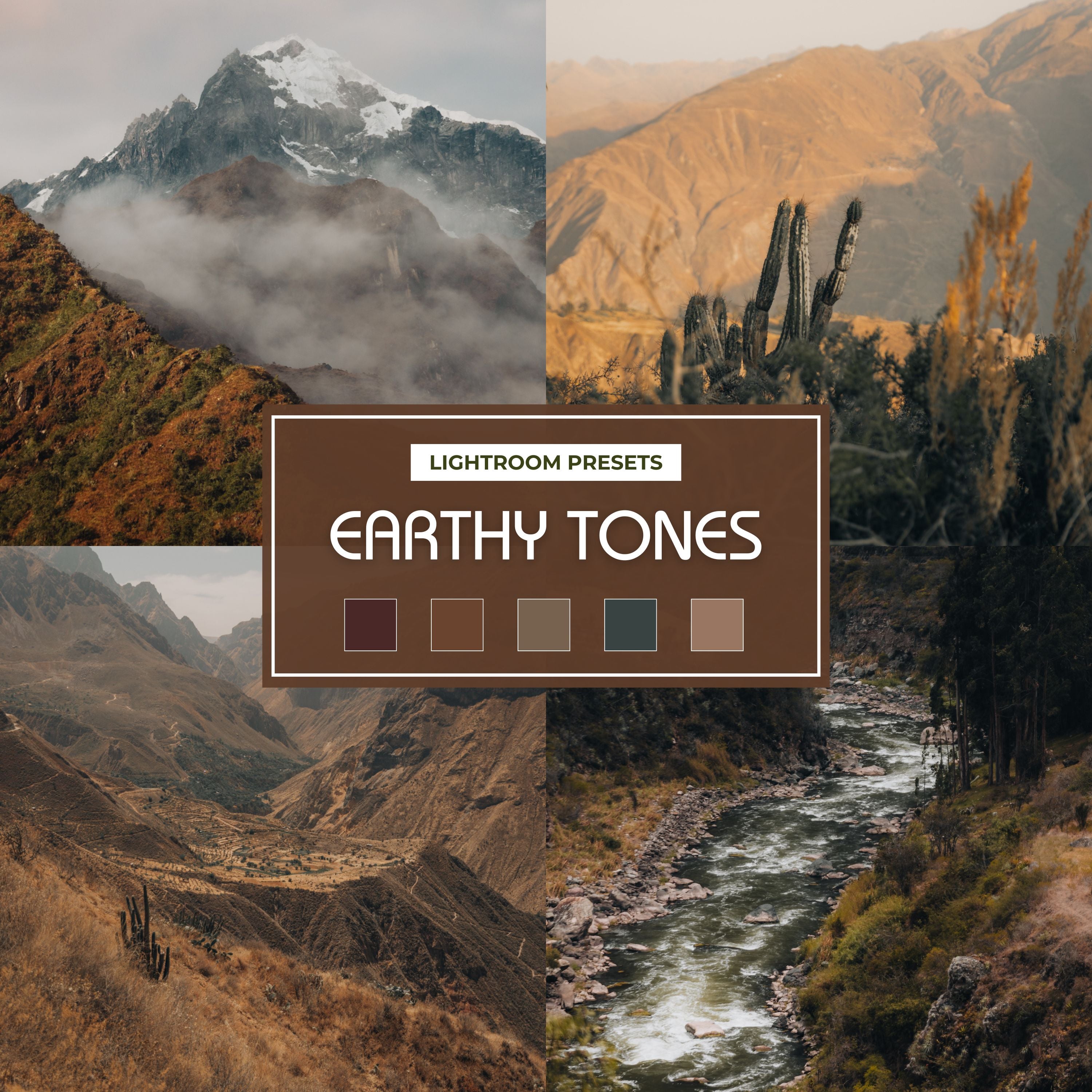 Earthy Tones Preset Collection