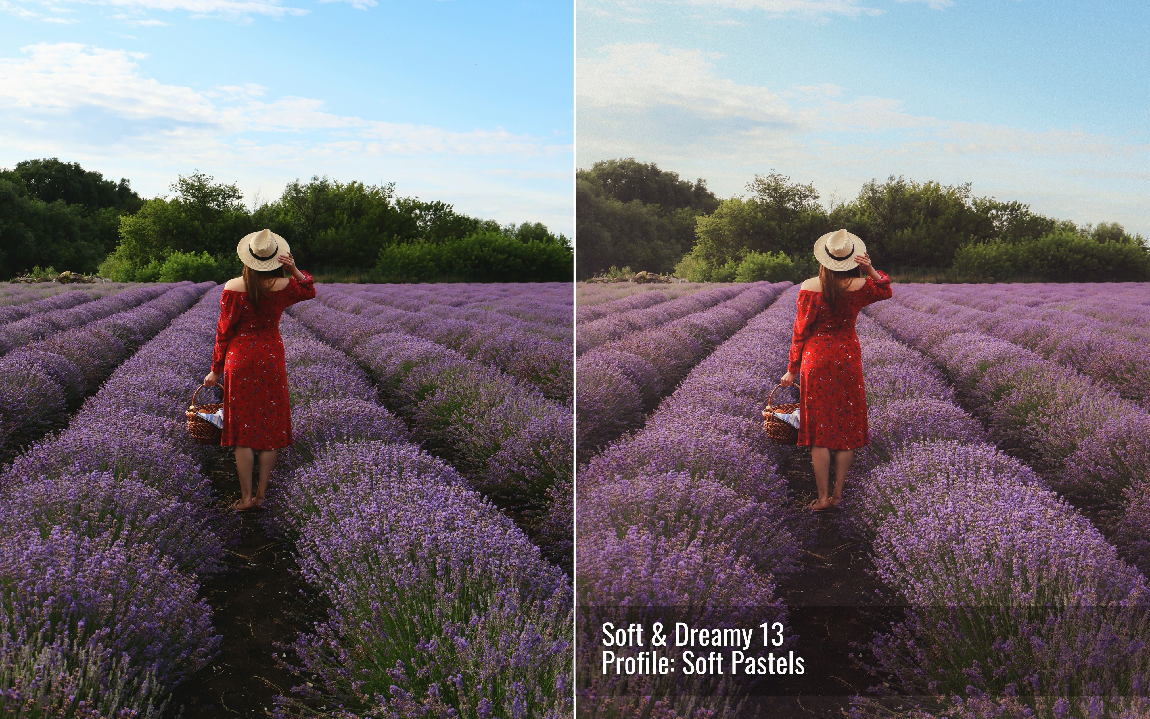 Soft and Dreamy Photo Editing Toolkit for Lightroom