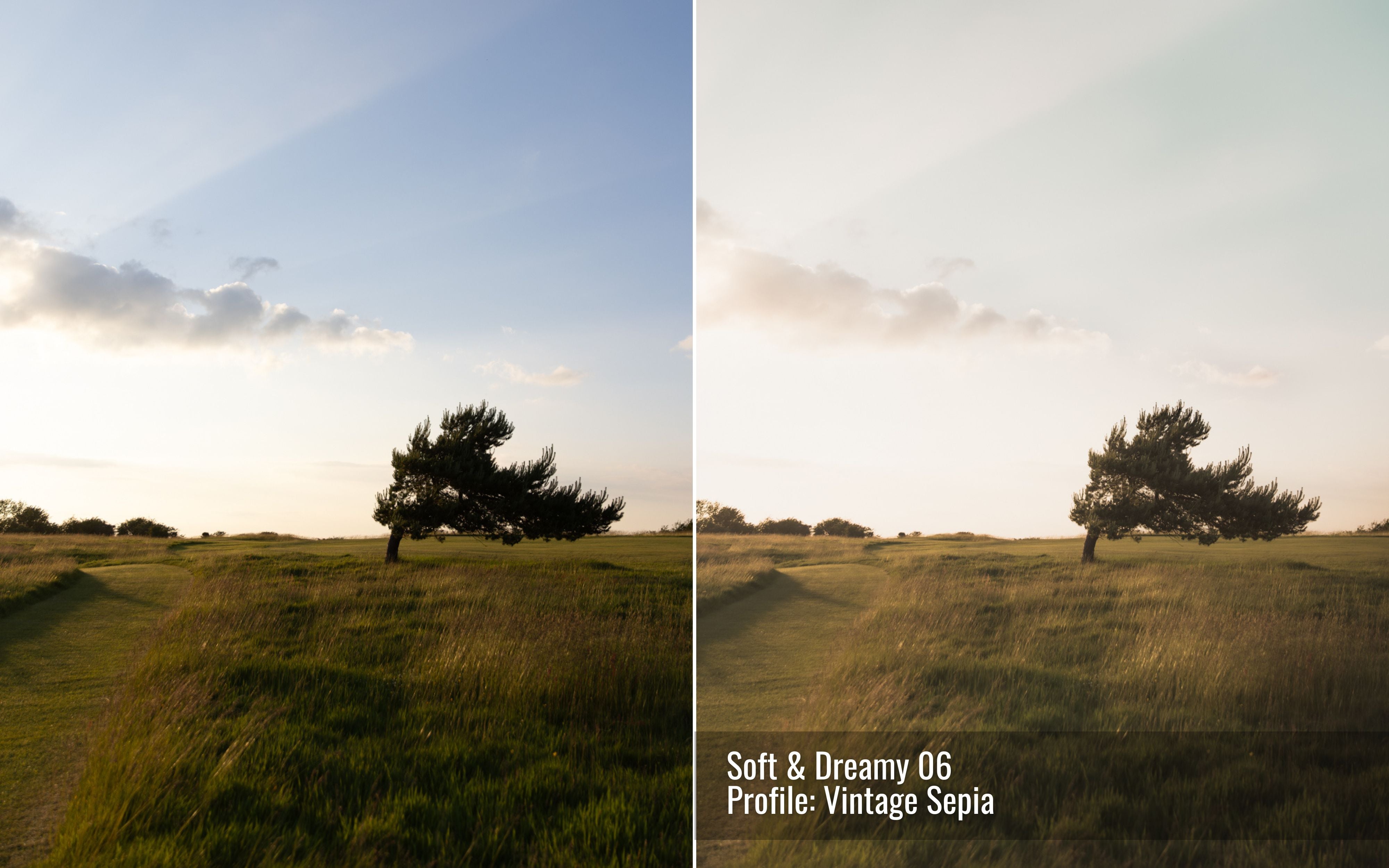 Soft and Dreamy Photo Editing Toolkit for Lightroom