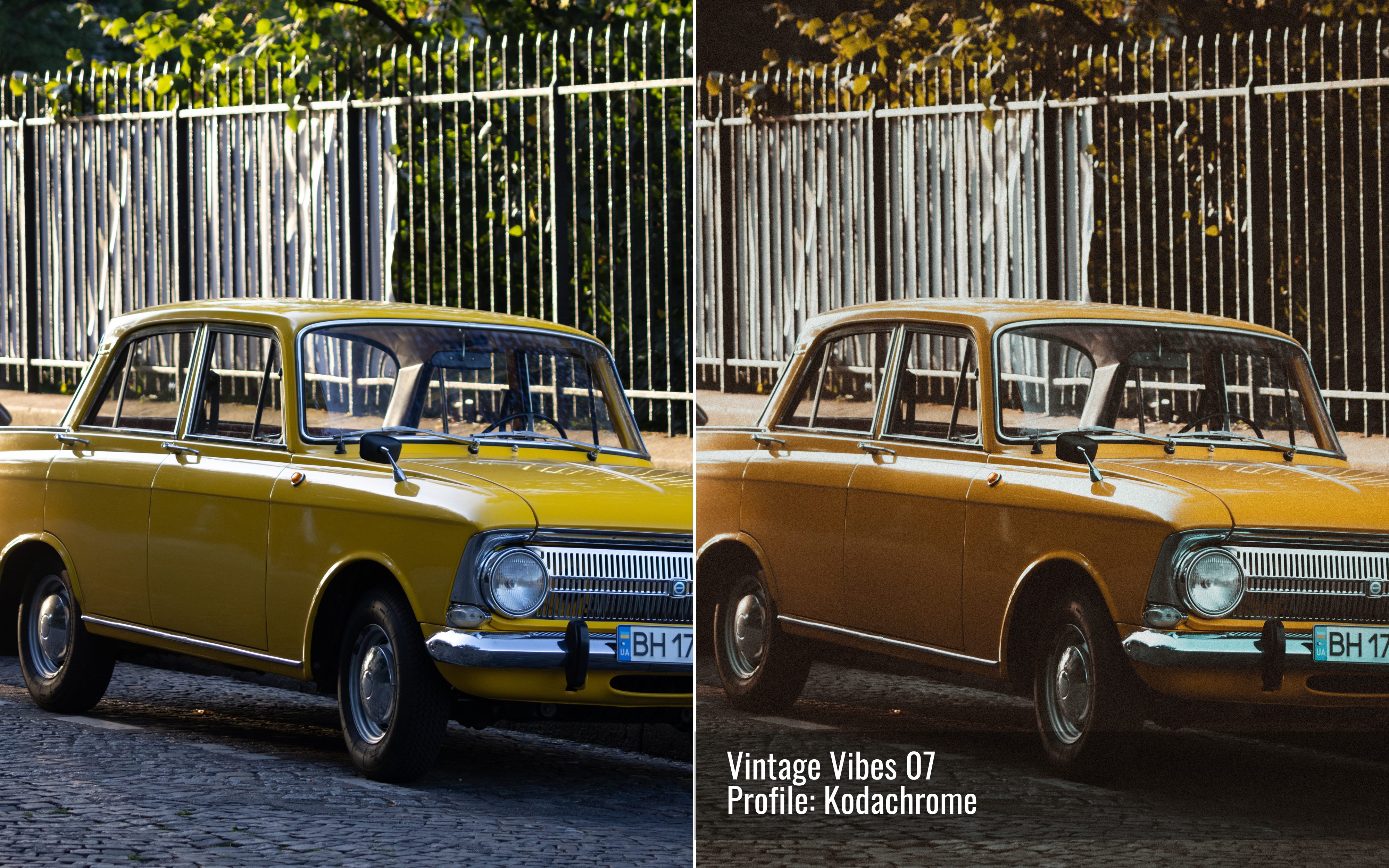 Vintage Vibes Photo Editing Toolkit for Lightroom