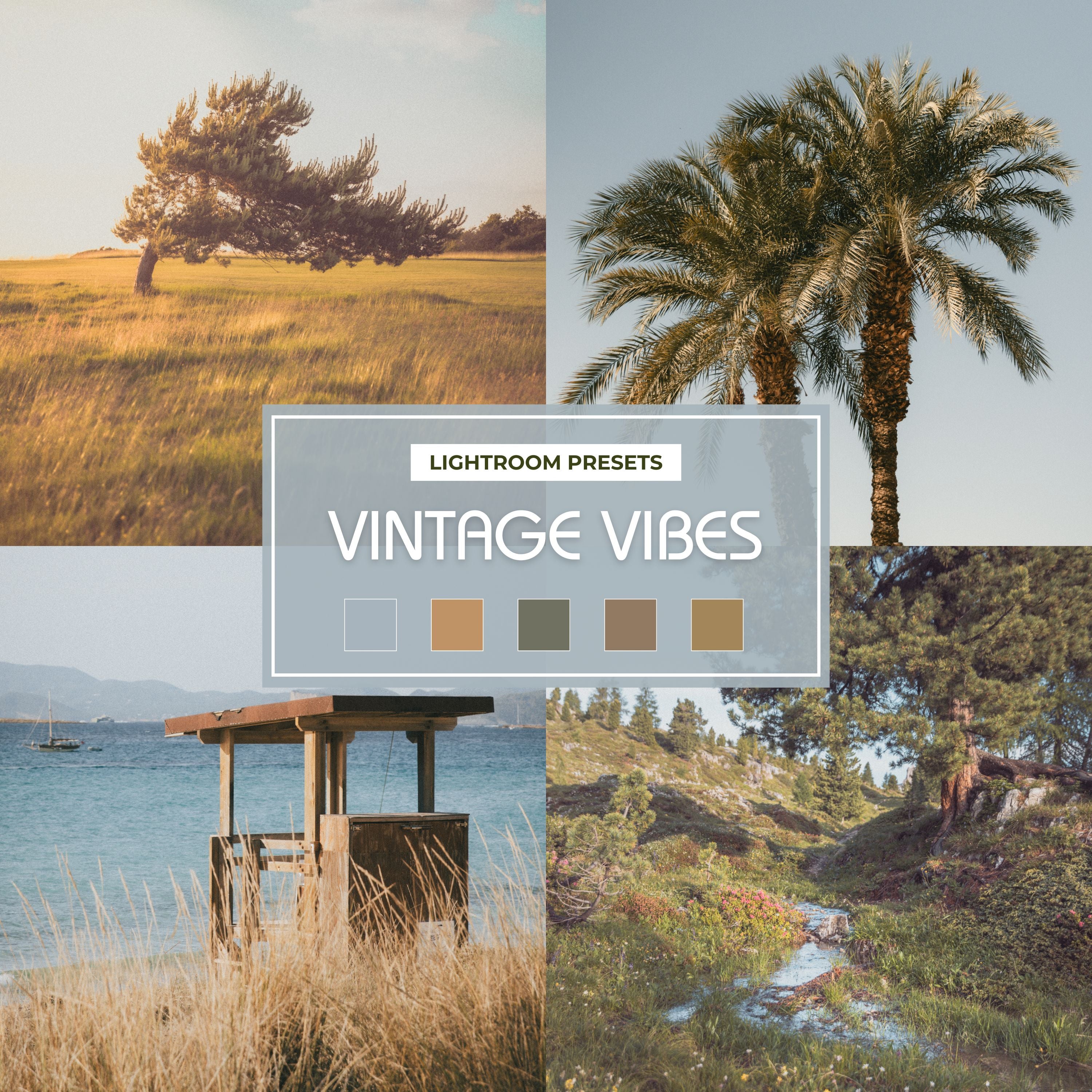 Vintage Vibes Preset Collection
