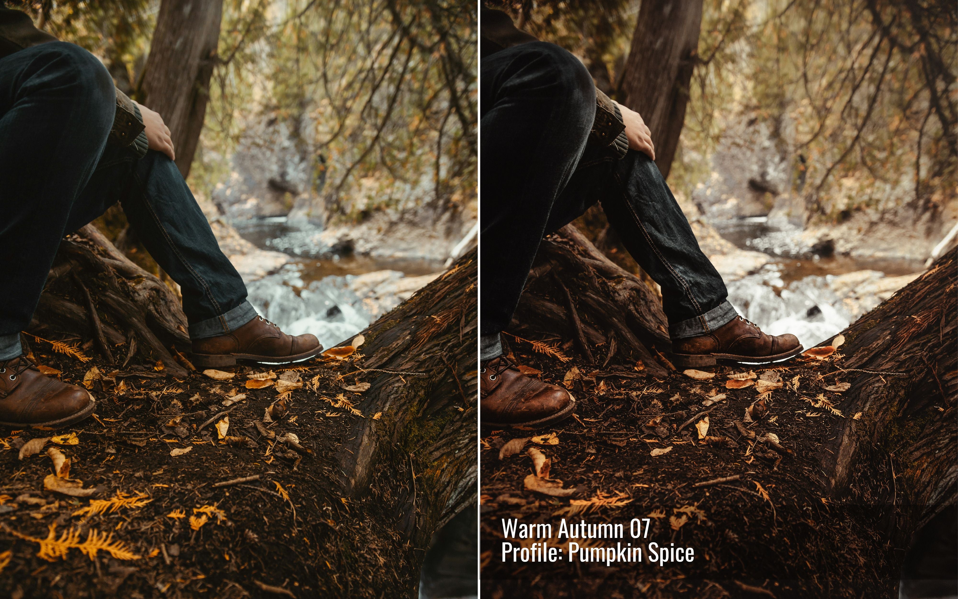 Warm Autumn Photo Editing Toolkit for Lightroom