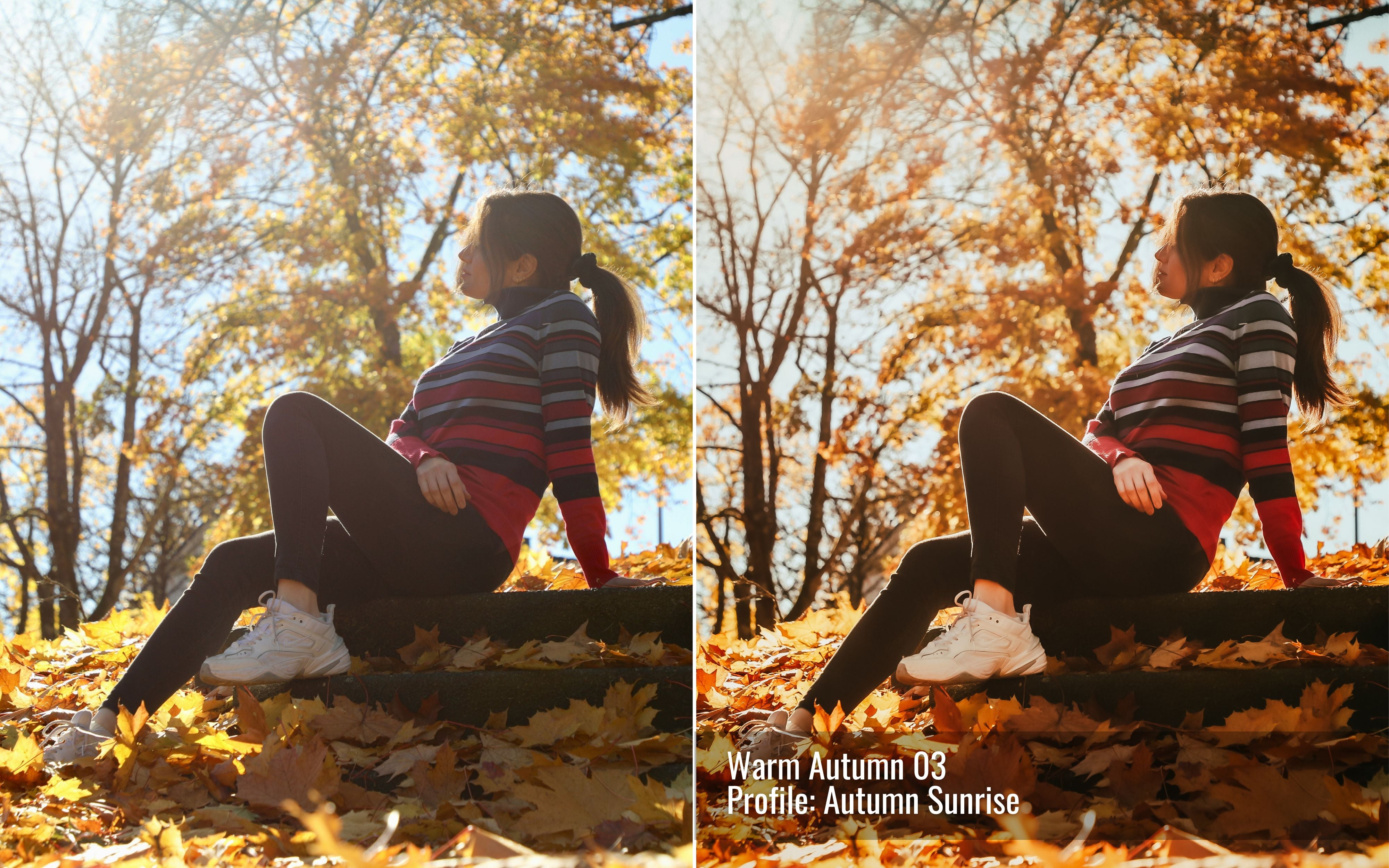 Warm Autumn Photo Editing Toolkit for Lightroom