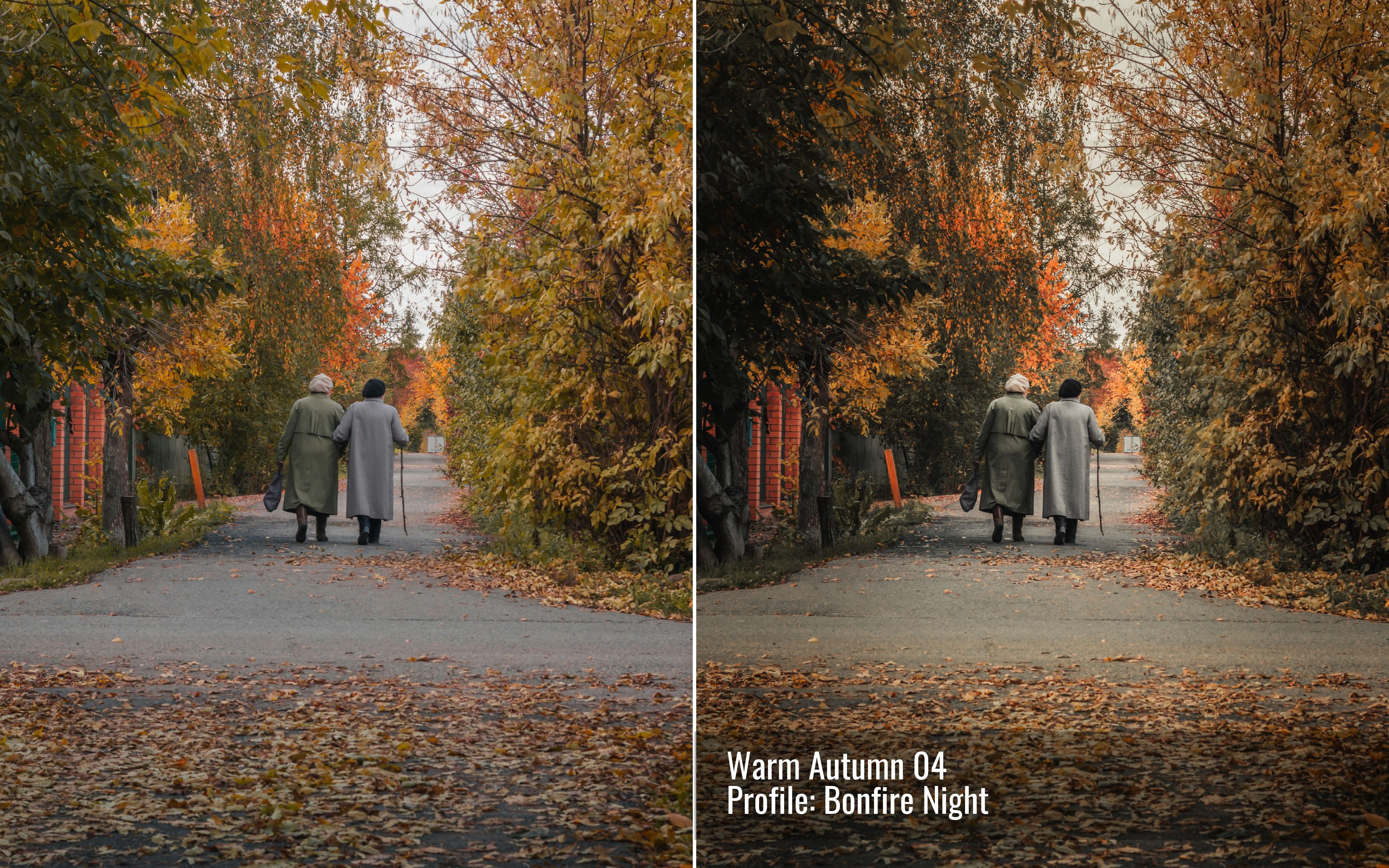 Warm Autumn Photo Editing Toolkit for Lightroom