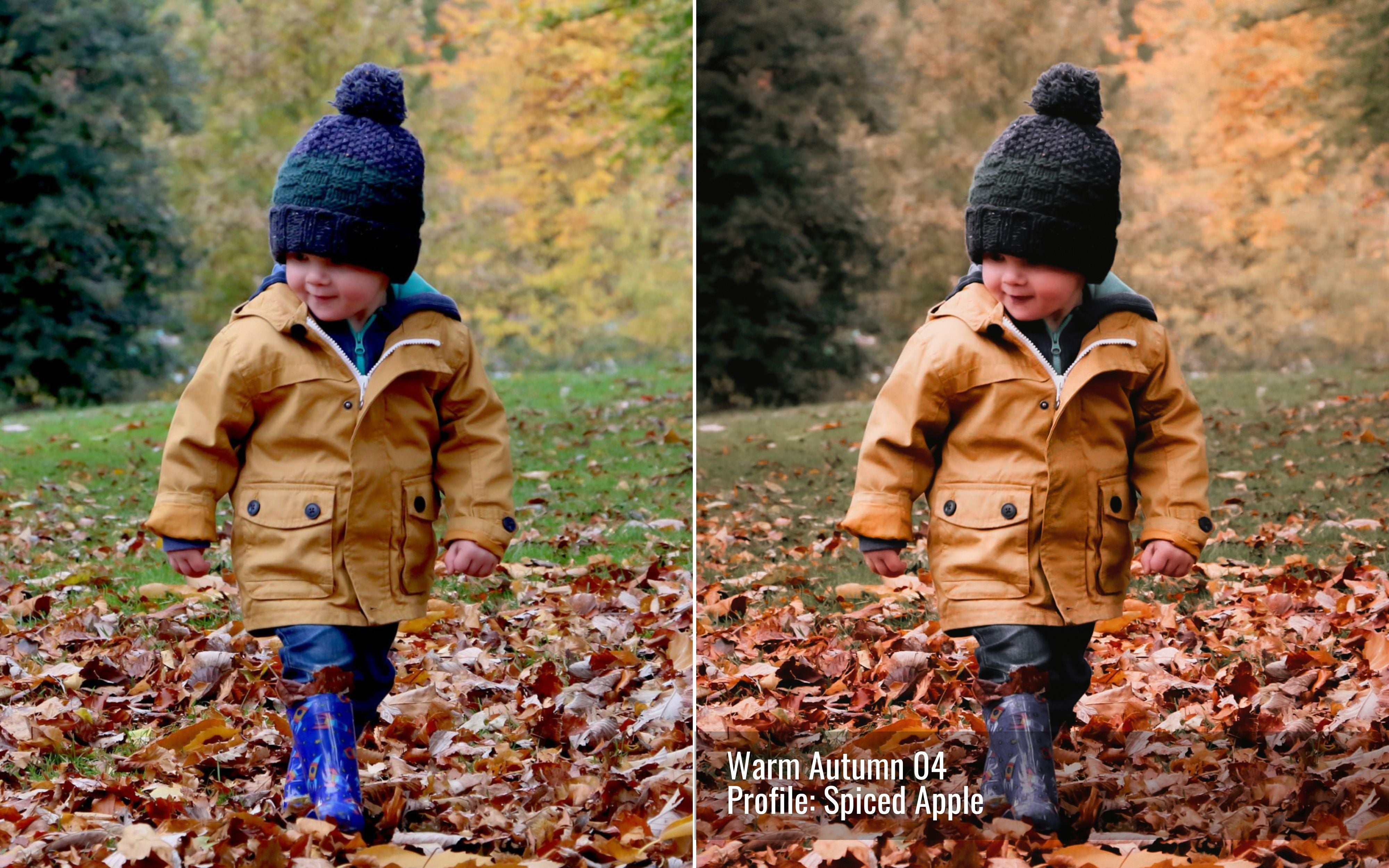 Warm Autumn Photo Editing Toolkit for Lightroom