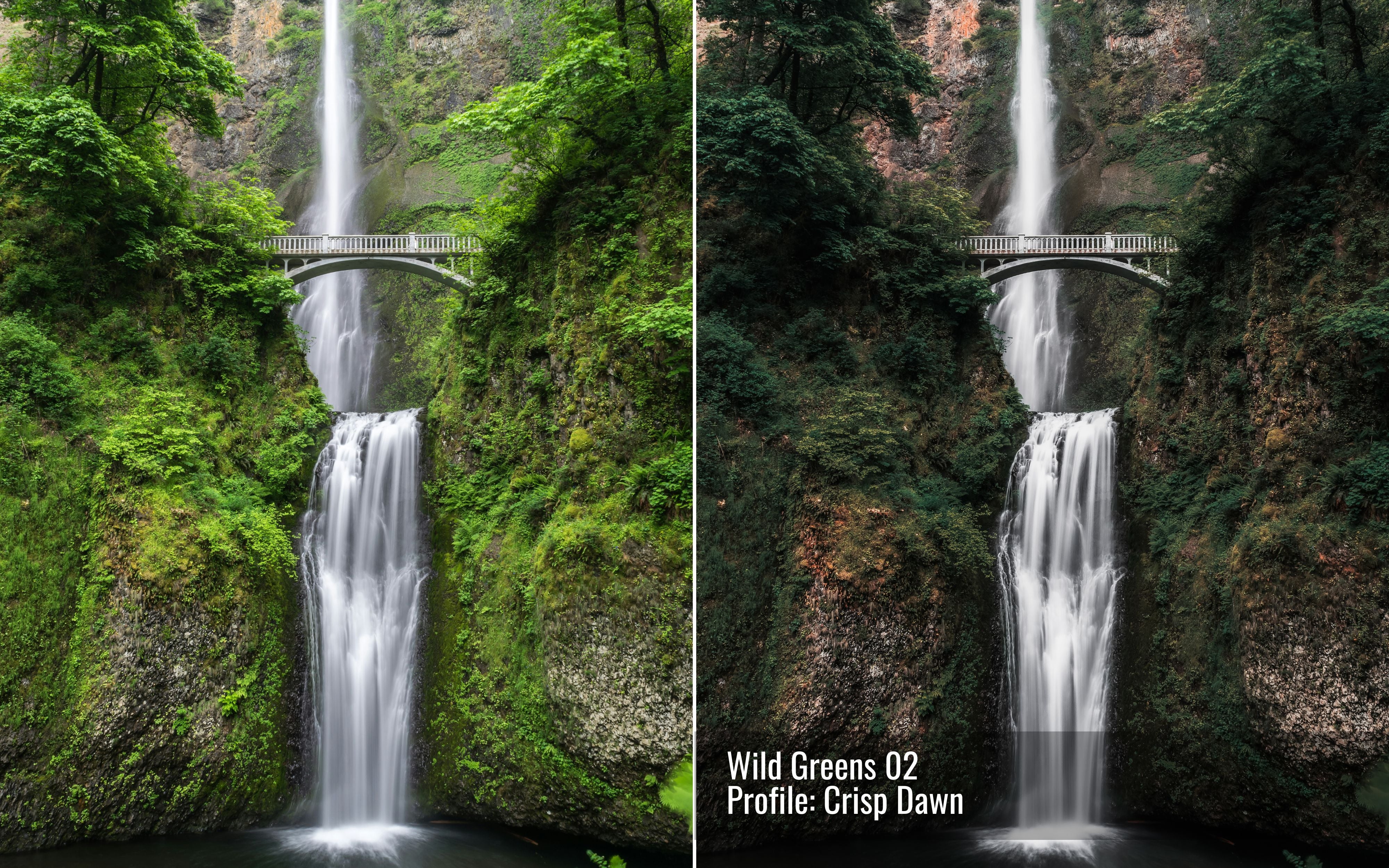 Wild Greens Photo Editing Toolkit for Lightroom