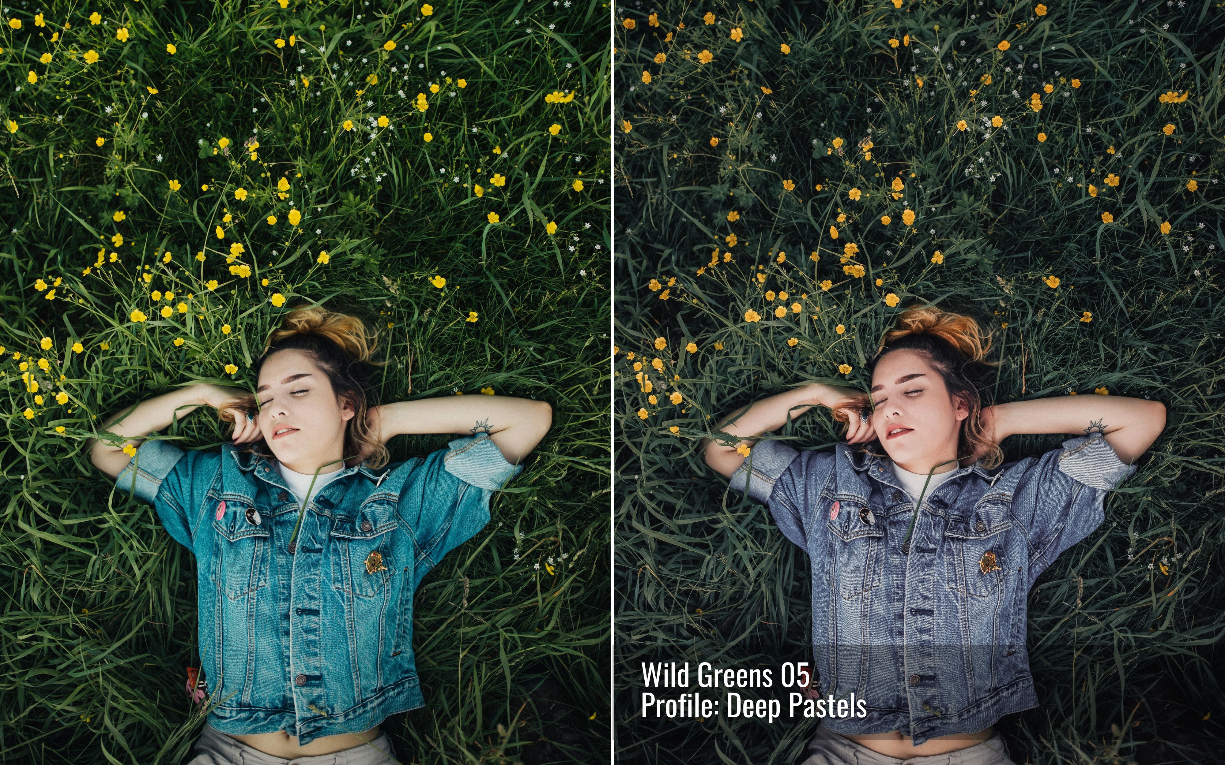 Wild Greens Photo Editing Toolkit for Lightroom