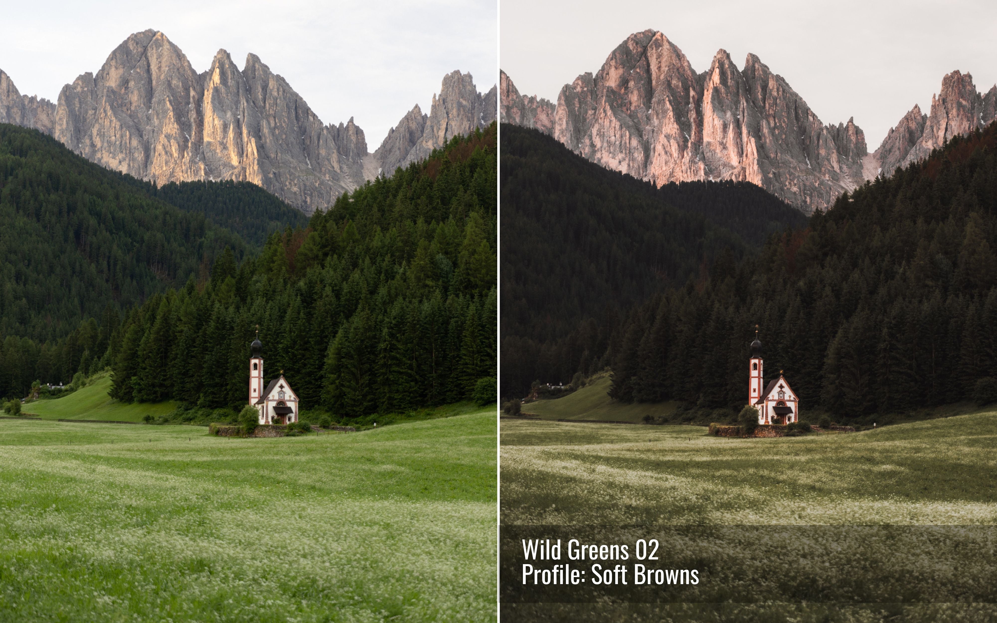 Wild Greens Photo Editing Toolkit for Lightroom