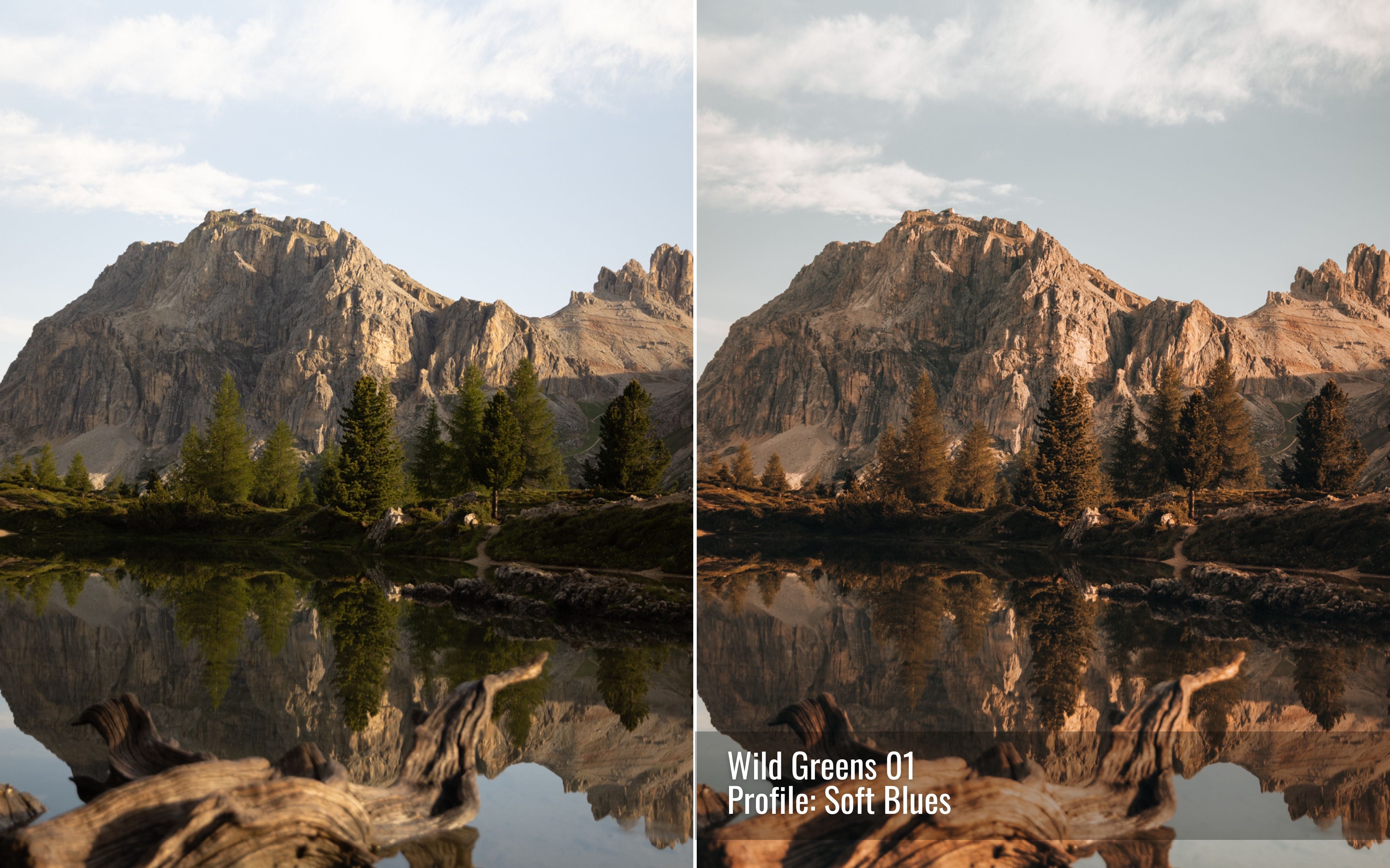 Wild Greens Photo Editing Toolkit for Lightroom